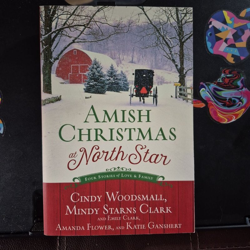 Amish Christmas at North Star