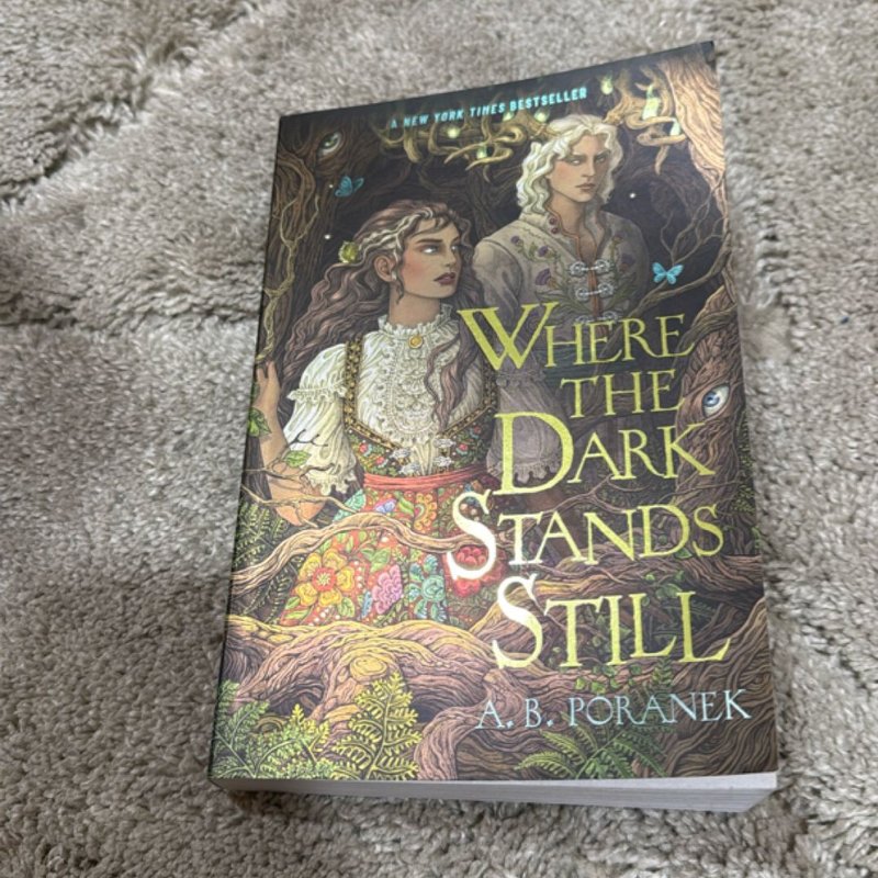 Where the Dark Stands Still