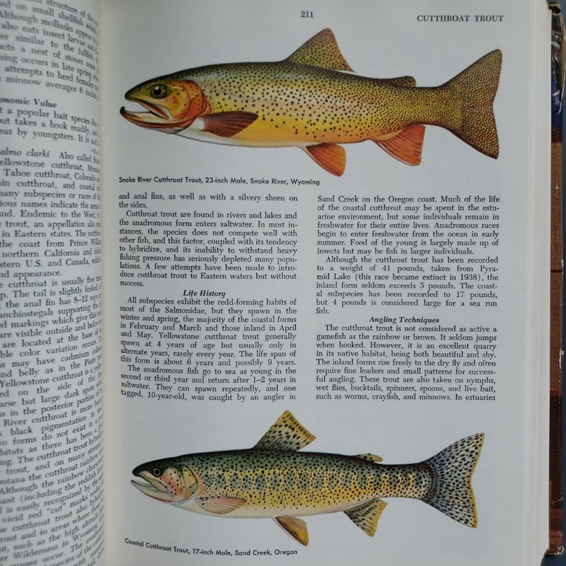 McClane's Standard Fishing Encyclopedia 