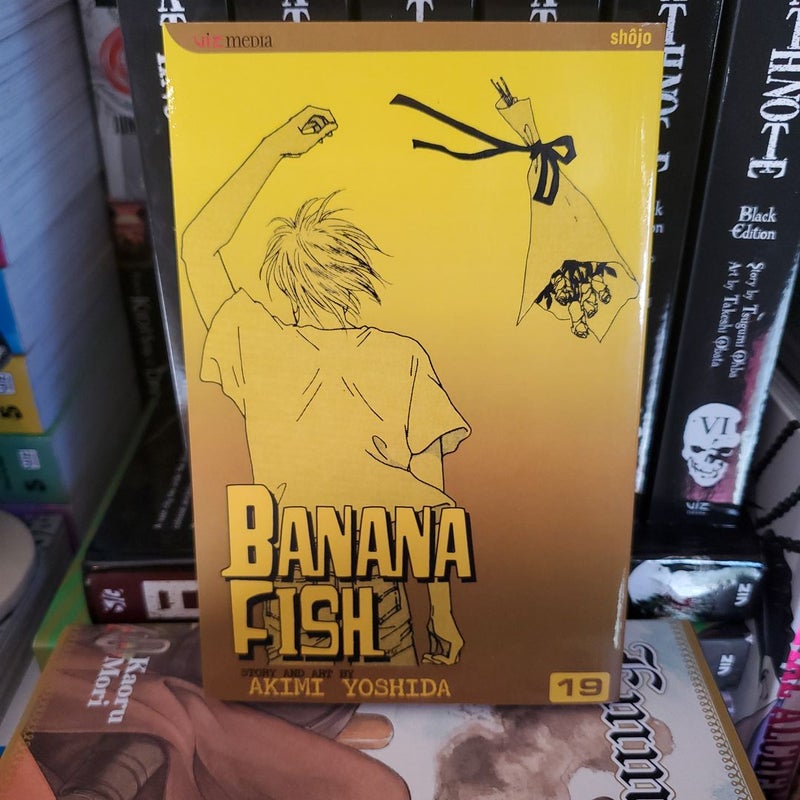 Banana Fish, Vol. 19