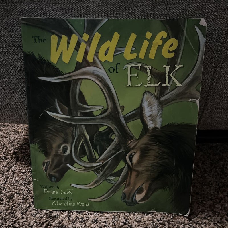 The Wild Life of Elk
