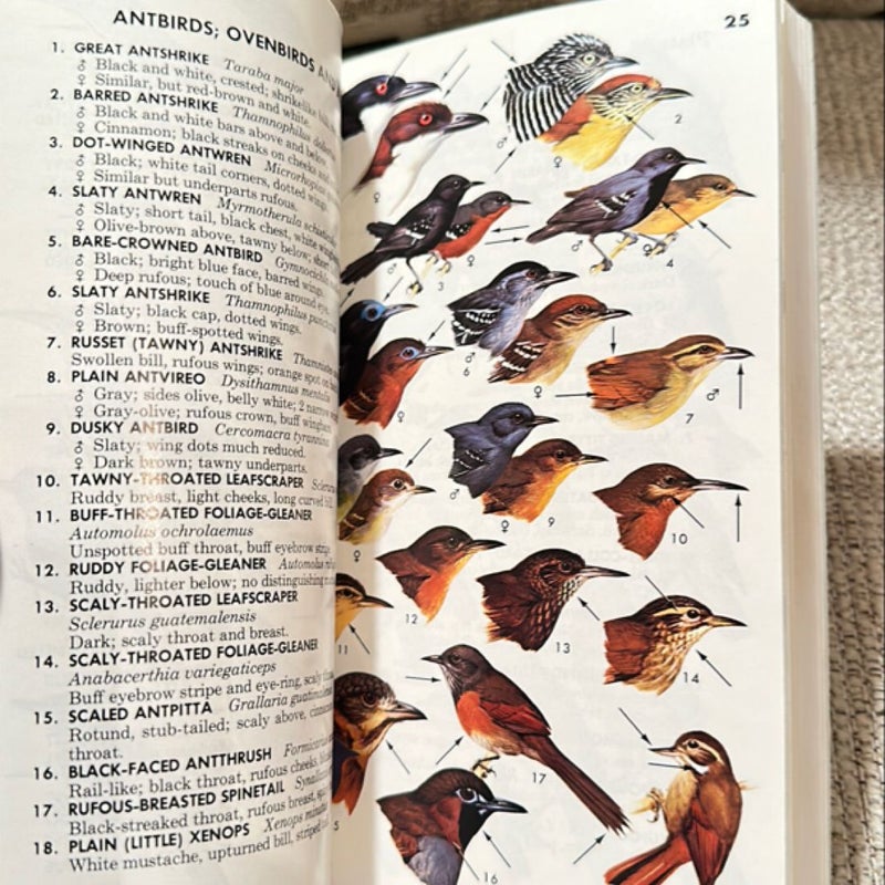 Field Guides in Mexican Birds