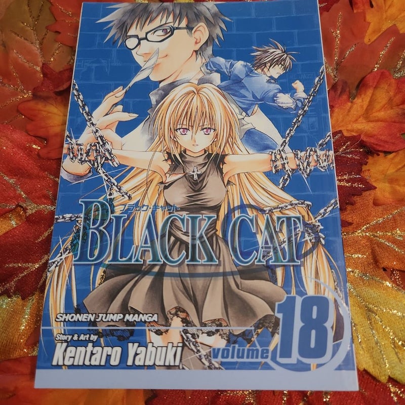 Black Cat, Vol. 18