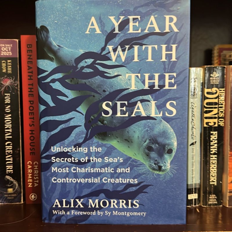 A Year with the Seals