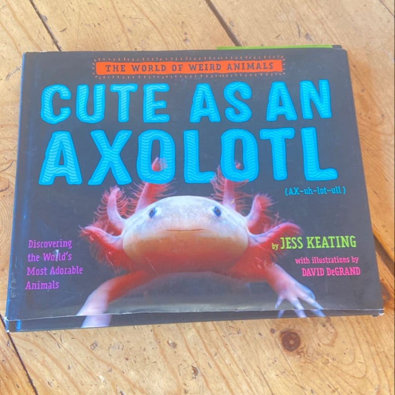 Cute As an Axolotl