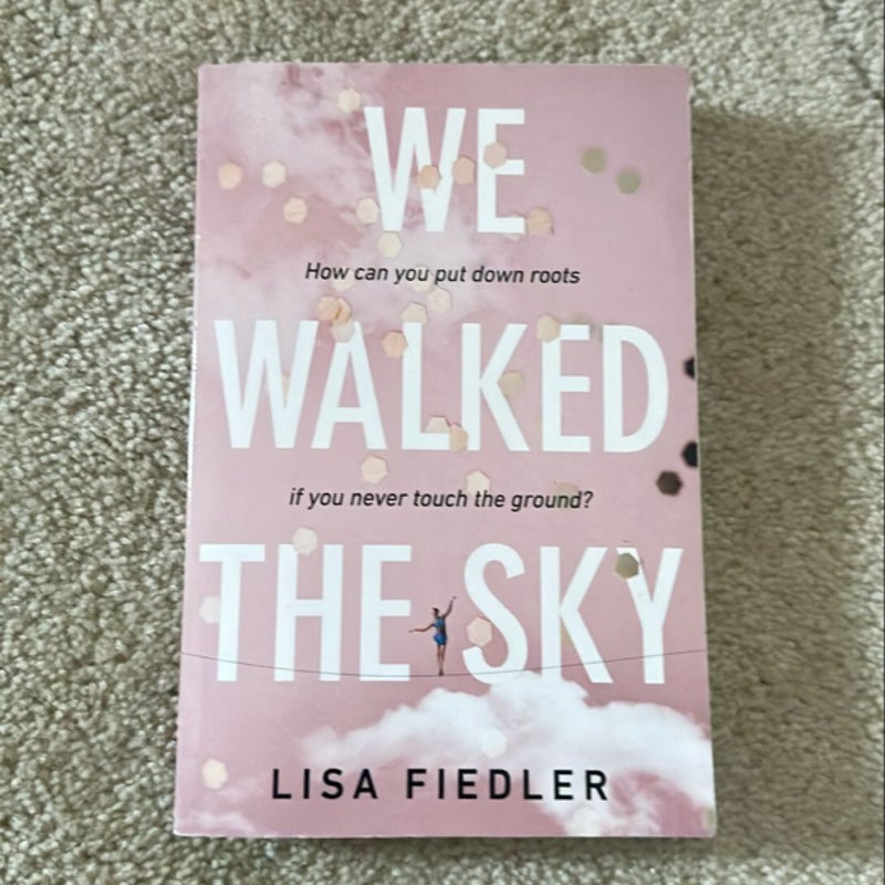 We Walked the Sky