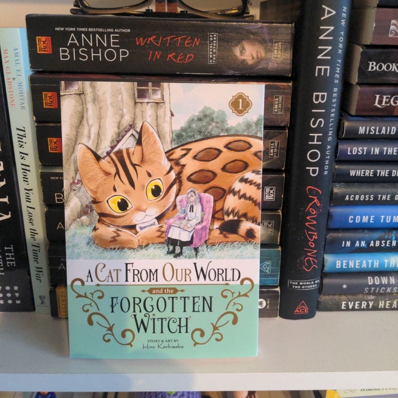 A Cat from Our World and the Forgotten Witch Vol. 1