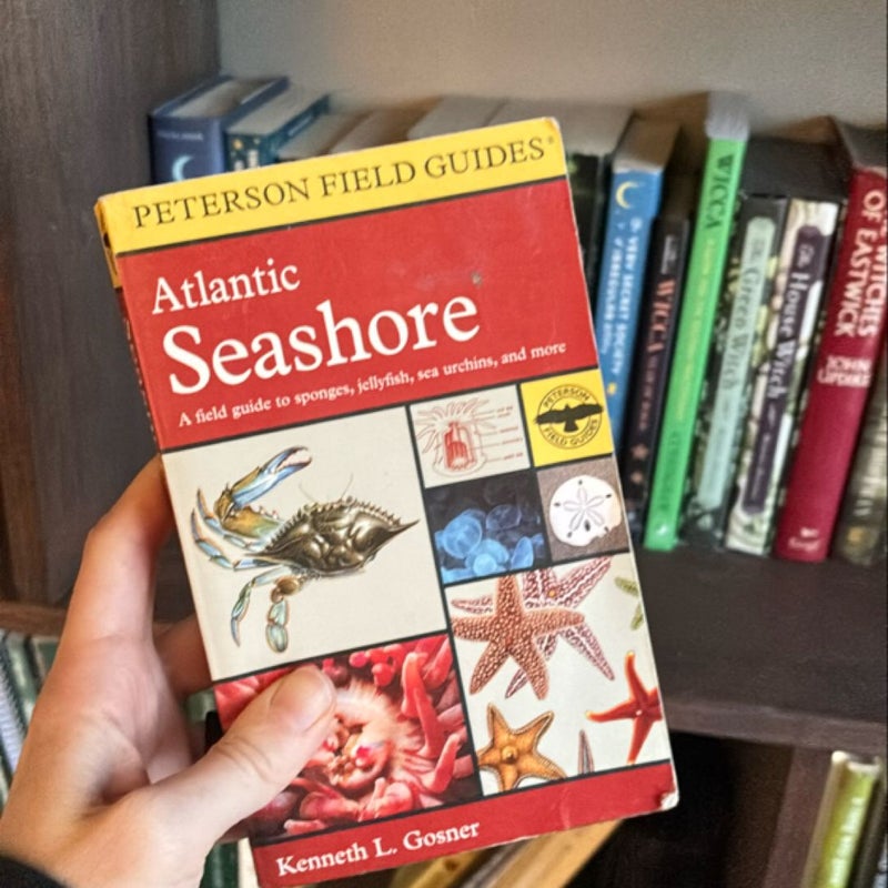 A Field Guide to the Atlantic Seashore