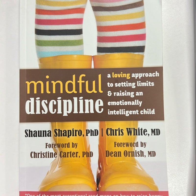 Mindful Discipline