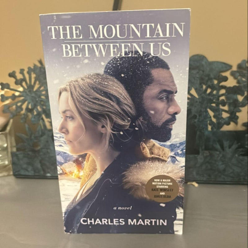 The Mountain Between Us (Movie Tie-In)