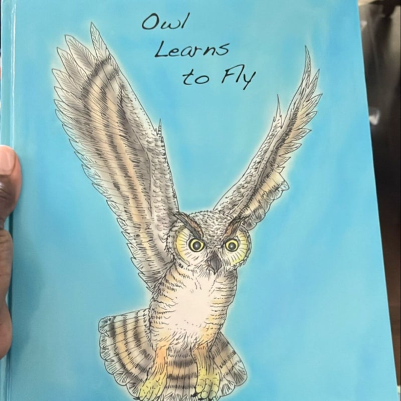 Owl Learns to Fly