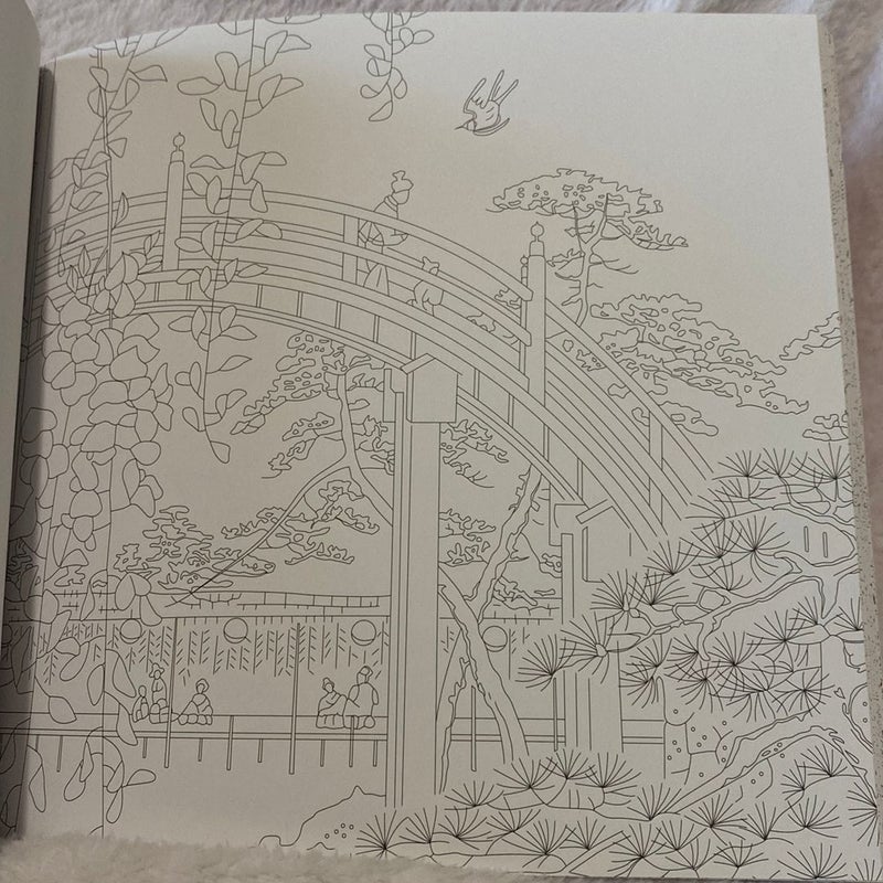 Touch of Asia Colouring Book