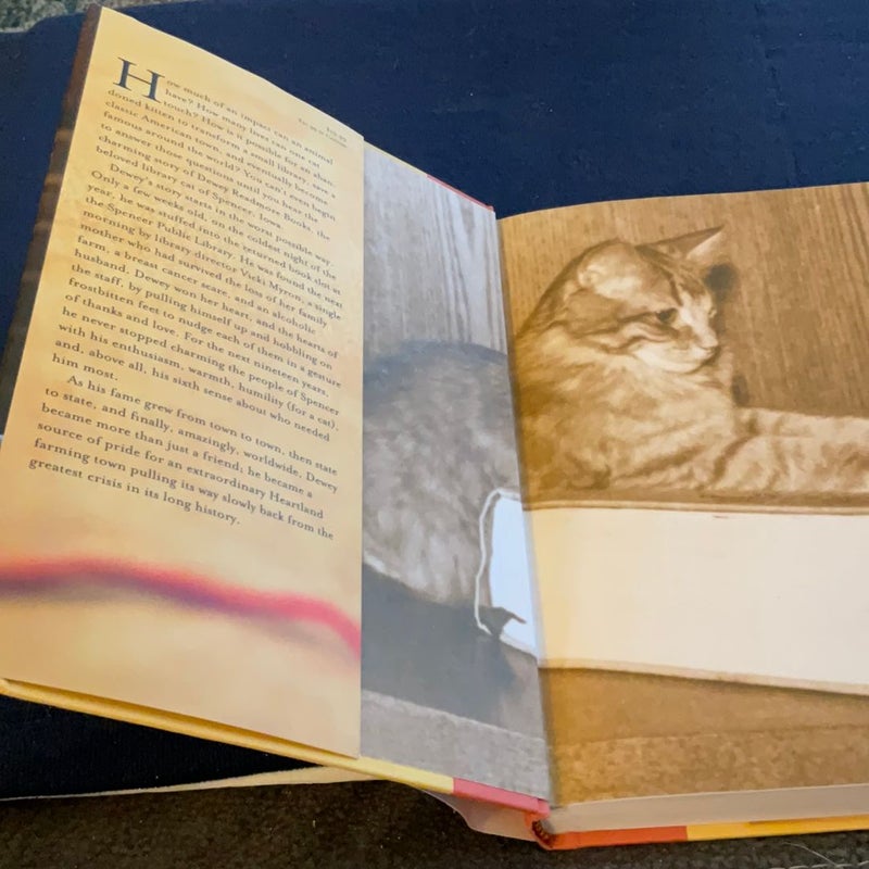 Dewey:The Small-Town Library Cat Who Touched The World