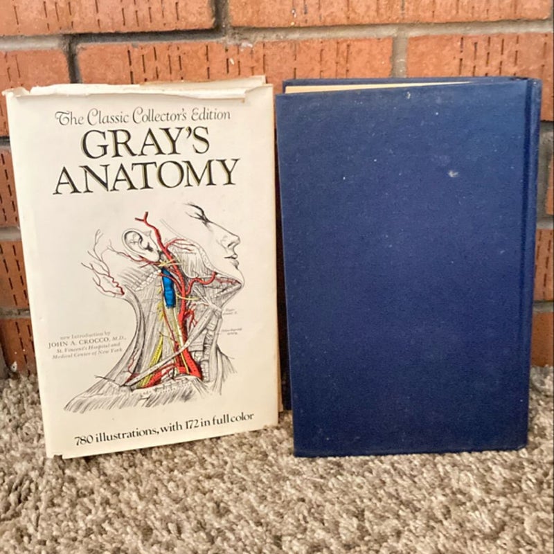 Gray's Anatomy