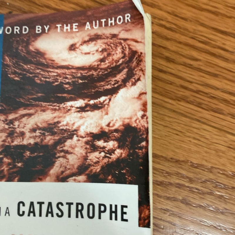 Field Notes from a Catastrophe