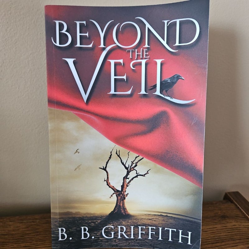 Beyond the Veil (Vanished, #2)