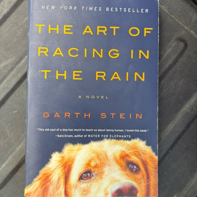 The Art of Racing in the Rain