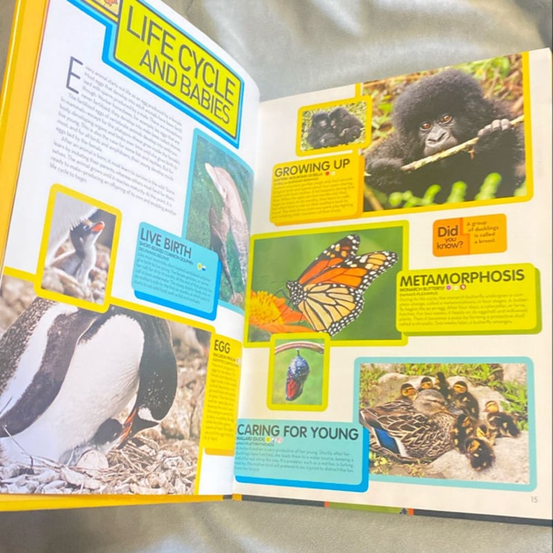 Animal Encyclopedia