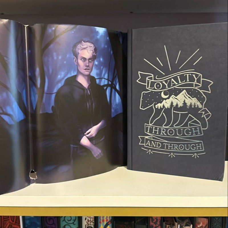 The Luminaries OwlCrate Edition