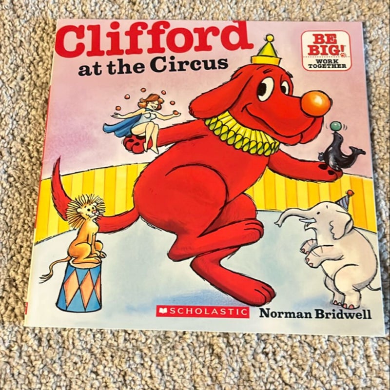 Clifford Bundle