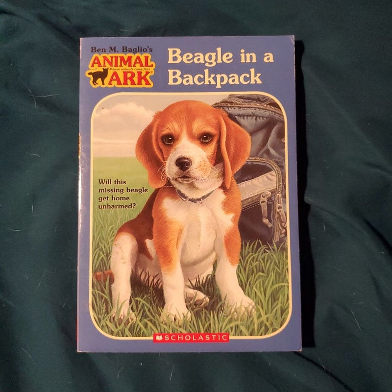 Beagle in a Backpack