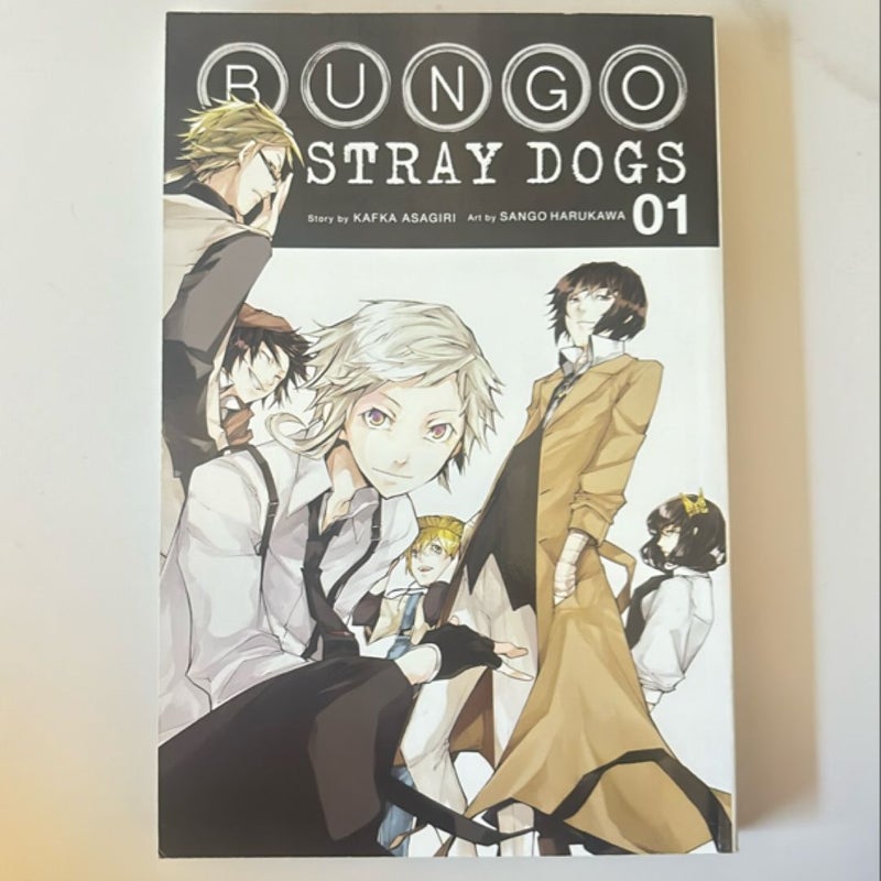 Bungo Stray Dogs, Vol. 1