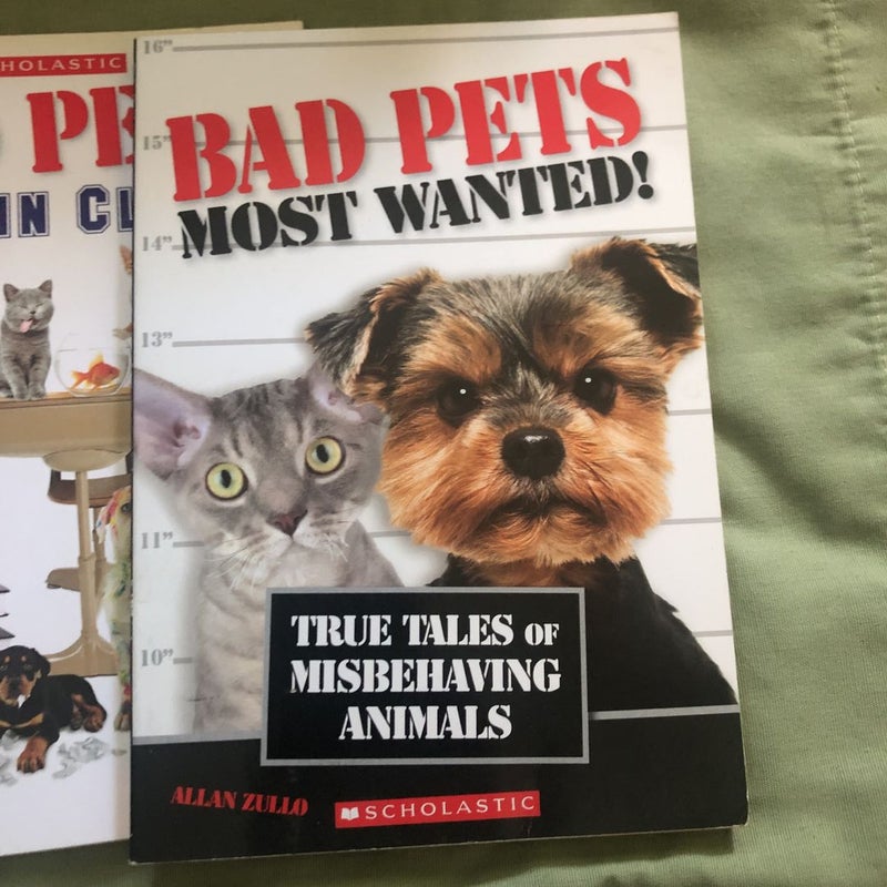Bad Pets Book Set