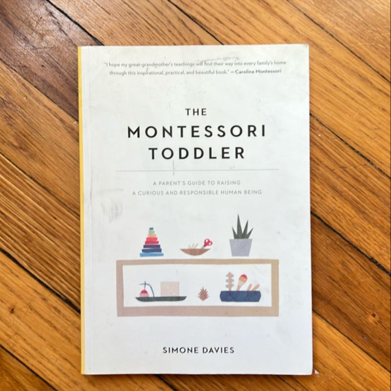 The Montessori Toddler