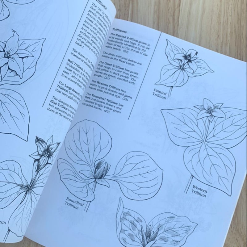 A Field Guide to Wildflowers Coloring Book