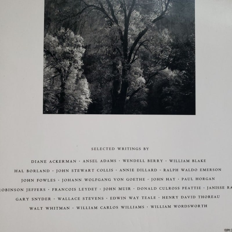 Trees 1st Edition 