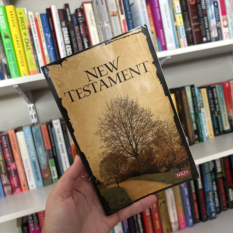 New Testament 