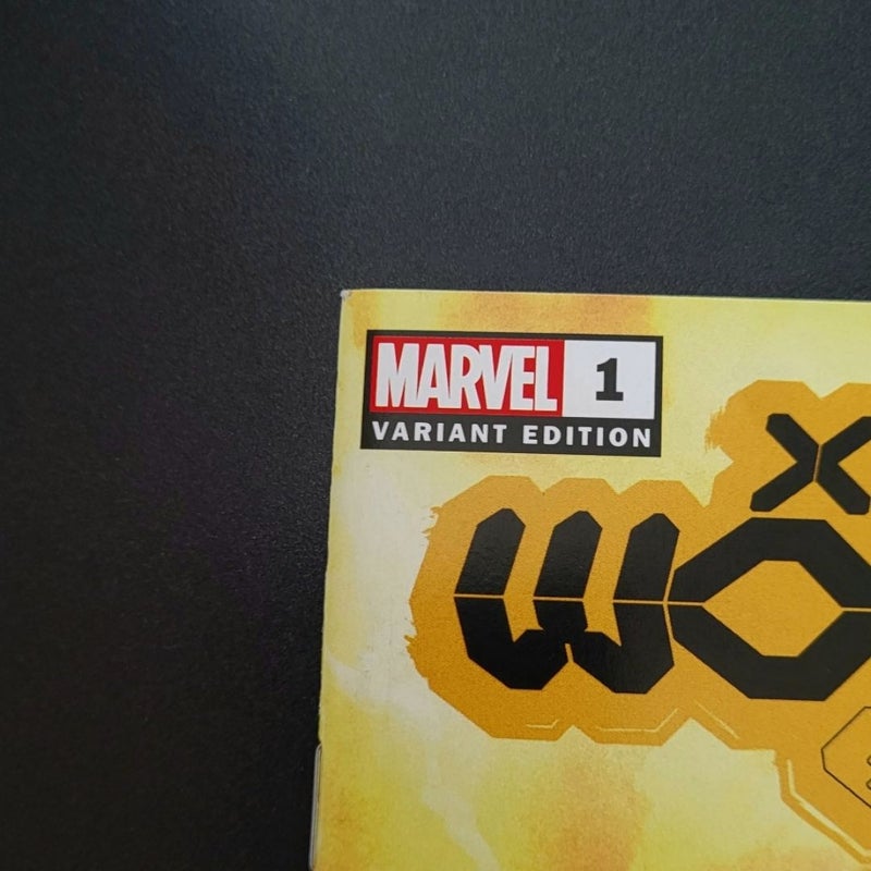 X Deaths Of Wolverine #1