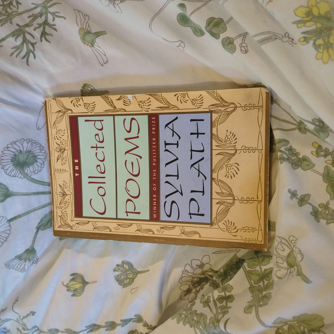 Sale image for a509a77f-766a-43bc-a950-5ff0d482bbe2-cmIrouKRaaQ4Ze37001OsCGLbmf1