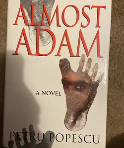 Almost Adam