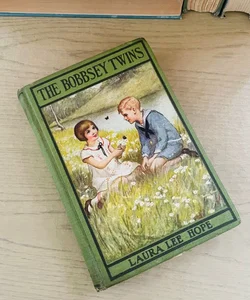 The Bobbsey Twins 