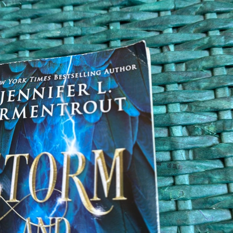 Storm and Fury