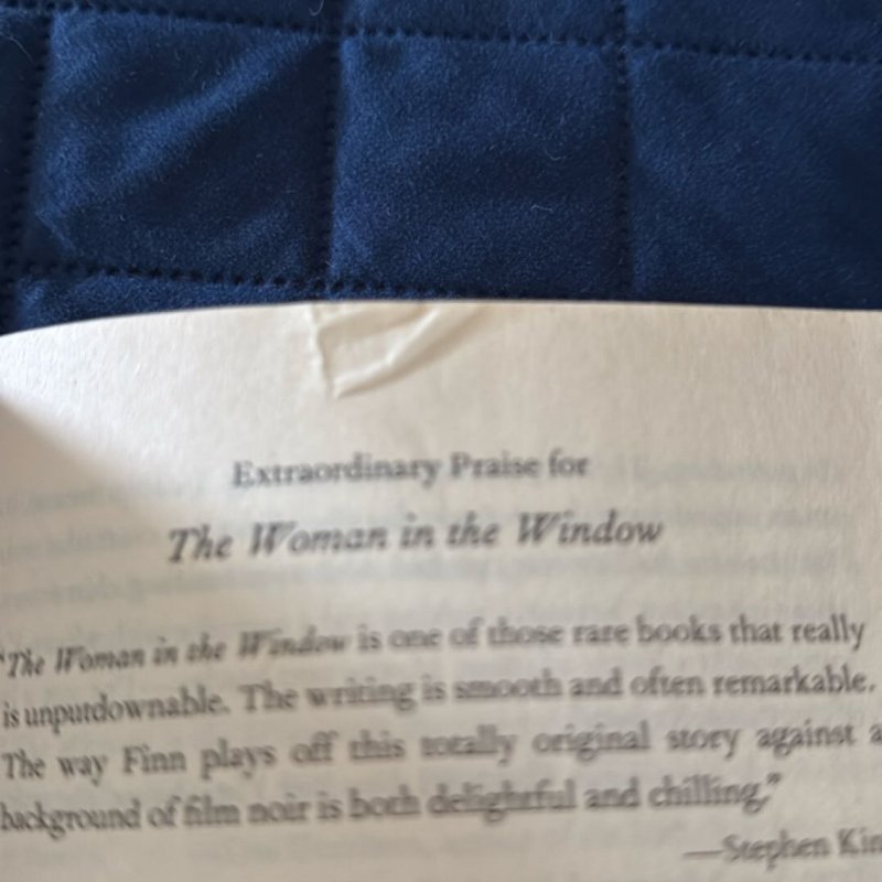 The Woman in the Window