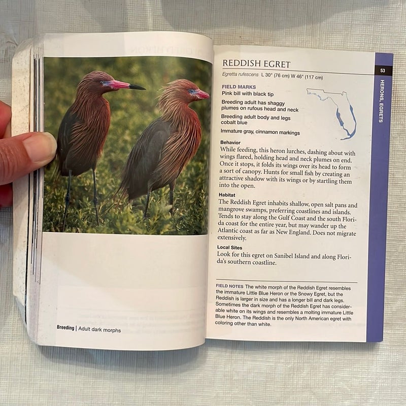 National Geographic Field Guides to Birds: Florida