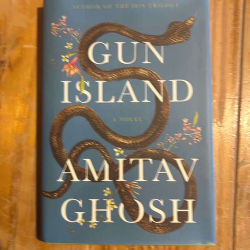Gun Island