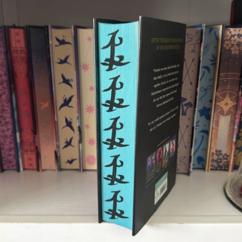 Lady Midnight fairyloot Ed
