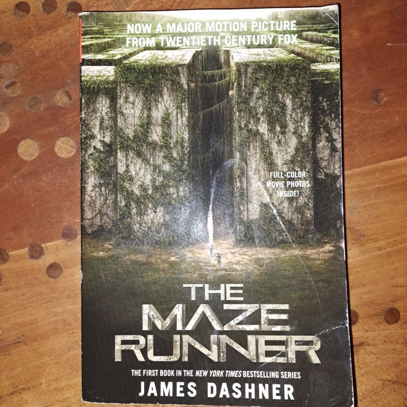 The Maze Runner 