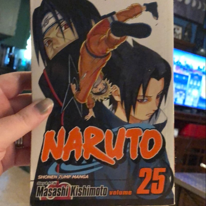 Naruto, Vol. 25