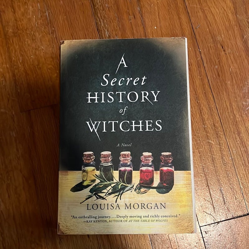 A Secret History of Witches