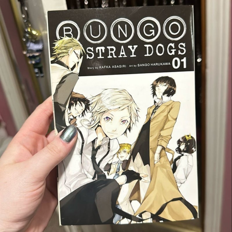 Bungo Stray Dogs, Vol. 1