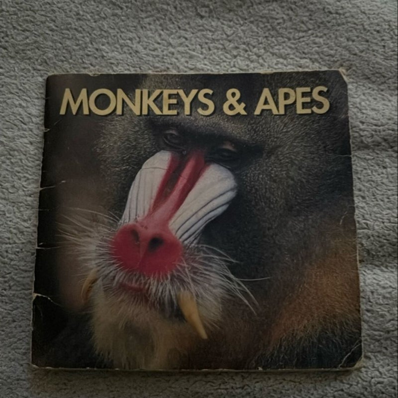 Monkeys and Apes