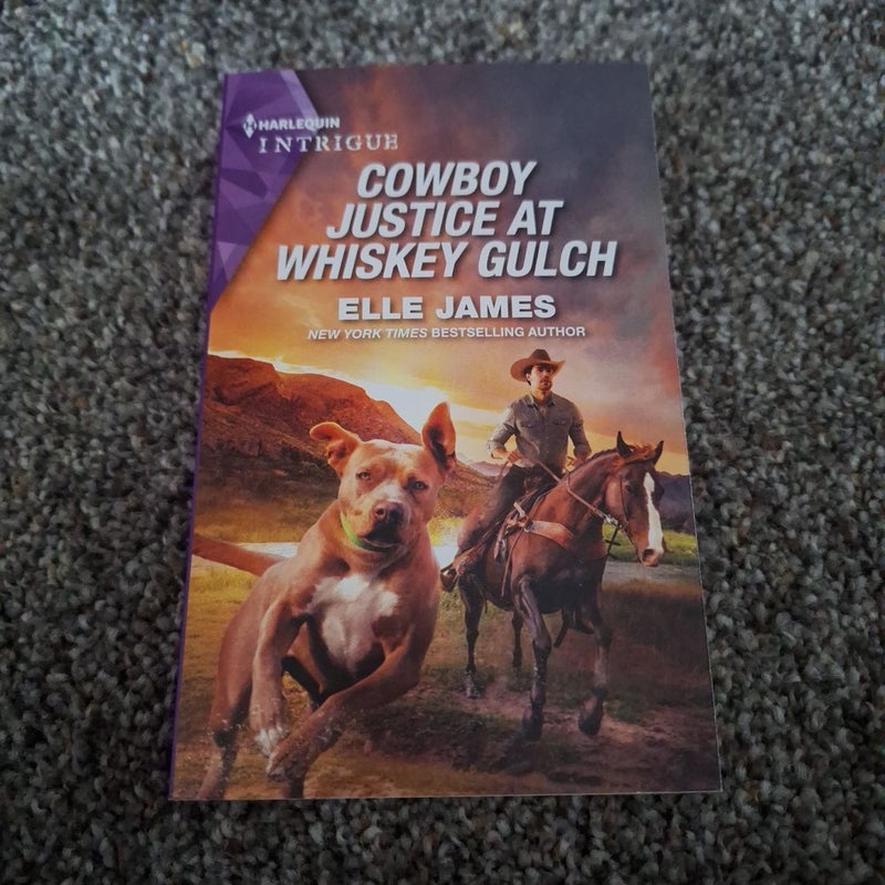 Cowboy Justice at Whiskey Gulch