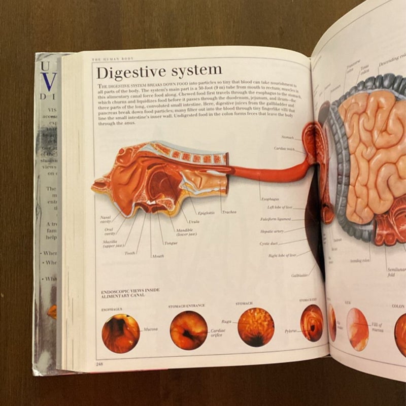 Ultimate Visual Dictionary 2000