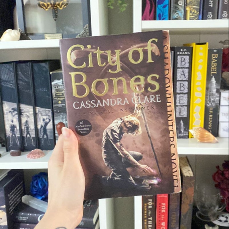 The Mortal Instruments Books 1-4