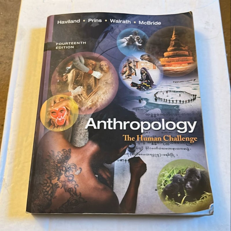 Anthropology the human challenge