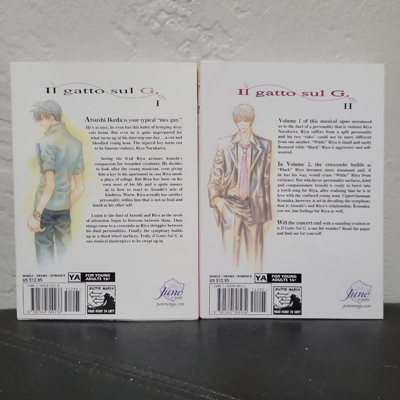 Il Gatto Sul G Volumes 1 + 2 (yaoi) manga